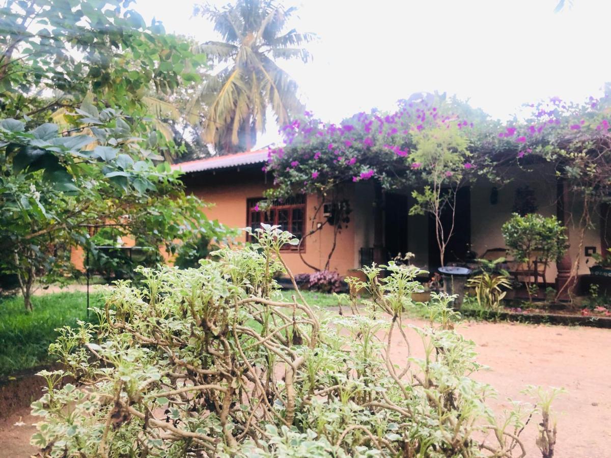 Sigiriya Nature Villa Lodge Exterior foto