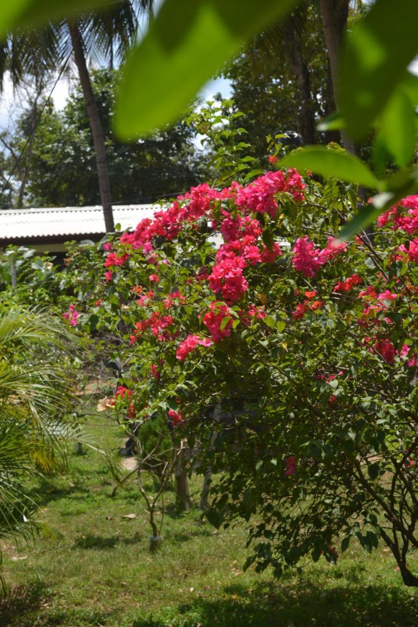 Sigiriya Nature Villa Lodge Exterior foto